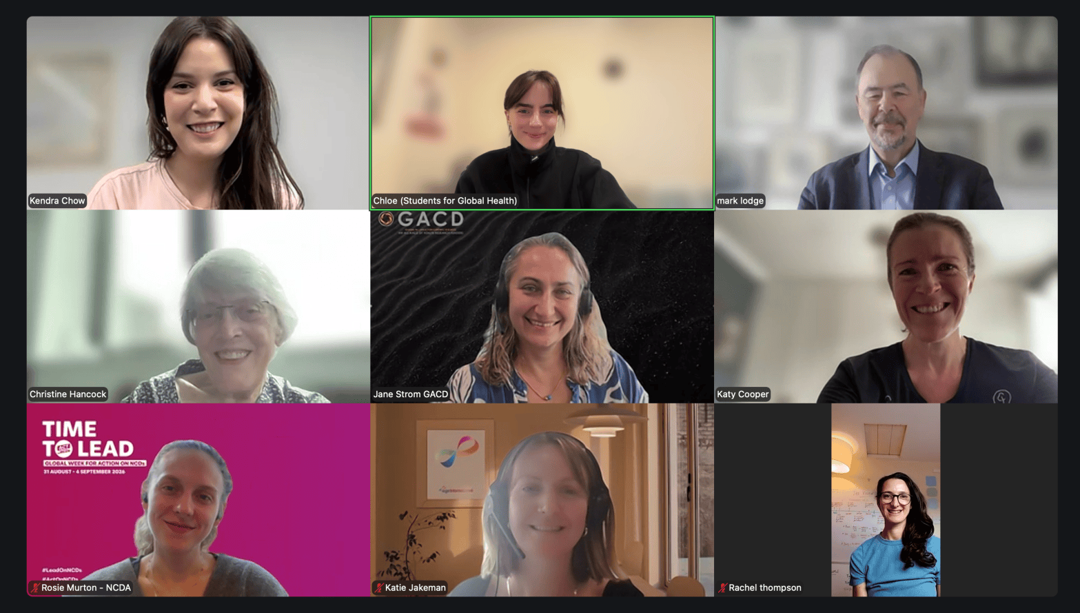 UKWG members on Zoom at monthly meeting in September 2026